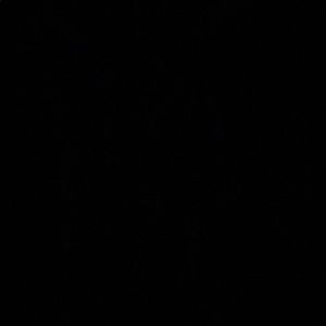 Meet your Posher, Kanan